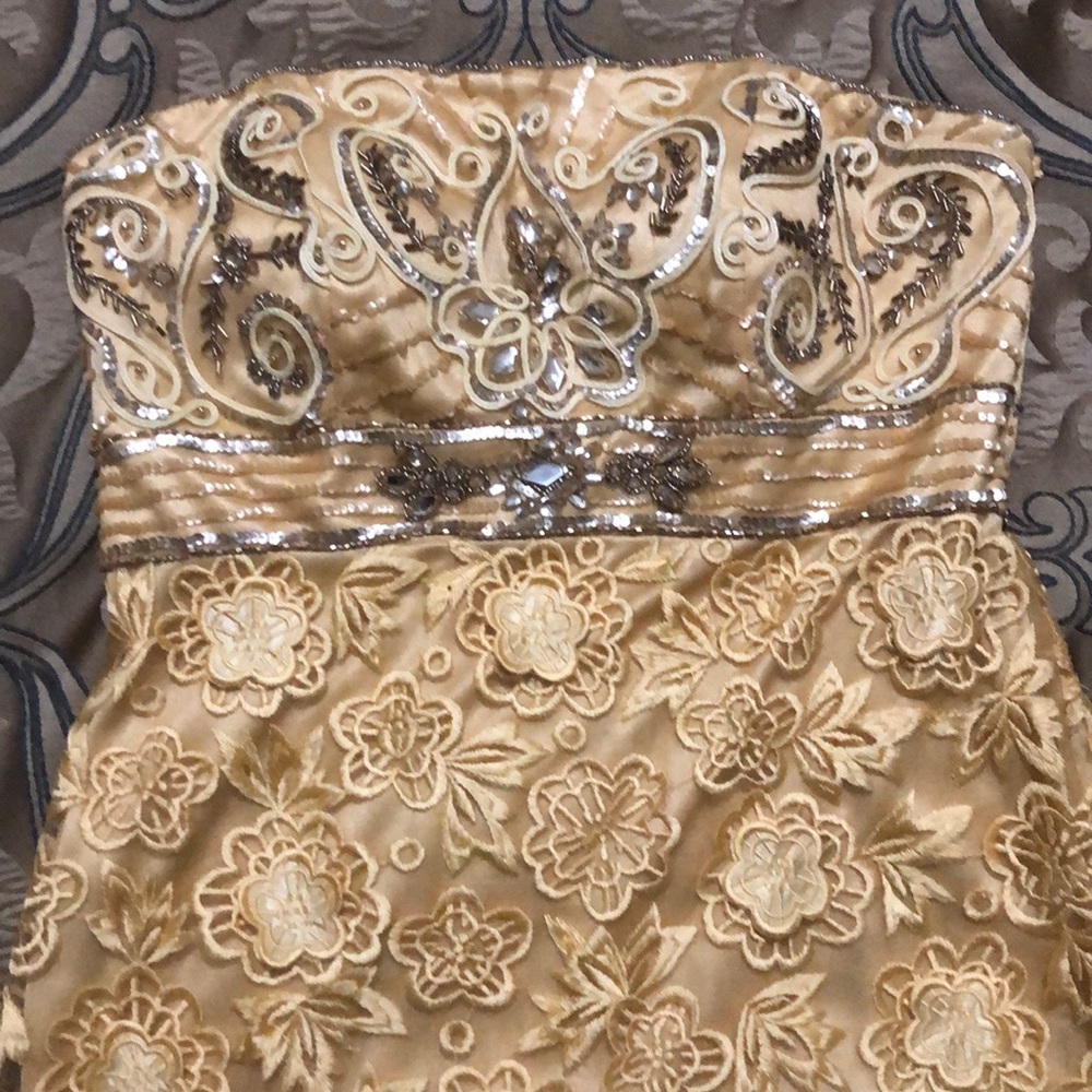 Evening Dress